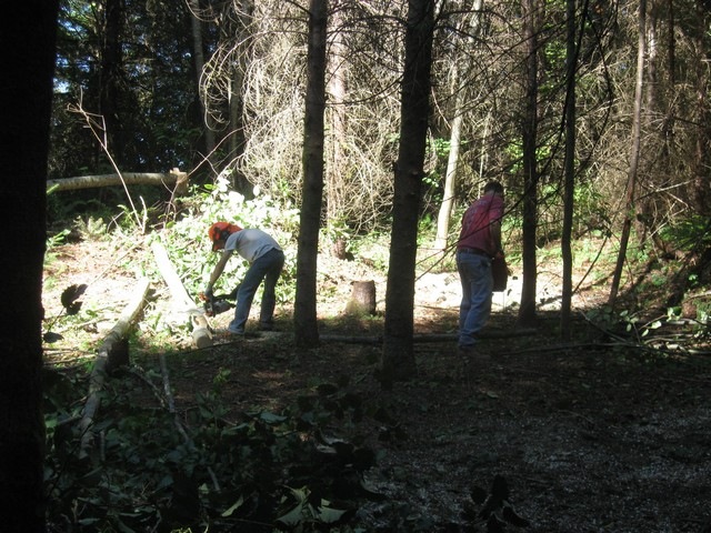 [woodcutting 08[3].jpg]