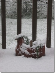 first snow 05 first snow 05