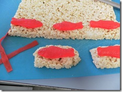 sushi 05