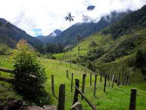 DSCN5014.JPG