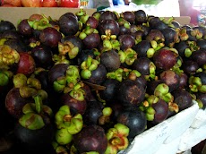 IMG_9788.JPG