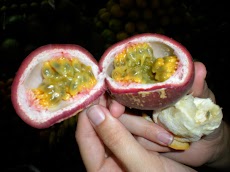 DSCN5280.JPG
