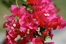 IMG_3200.JPG