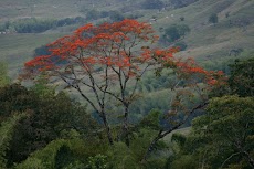 IMG_3297.JPG