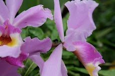 IMG_5368.JPG