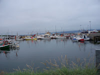 2010_08_10Illugastaðir-Húsavik0004.JPG Photo