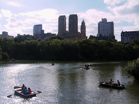 NY
