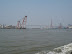 Yangpu Bridge