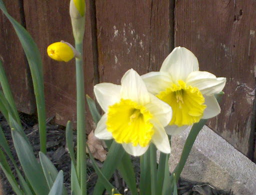 March 21, 2010