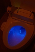 blue-toilet-bowl-mumbai-lands-end-306x459