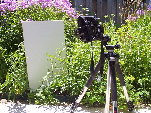 [P7200001[2].jpg]