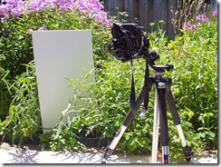 P7200001