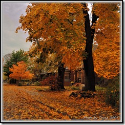 photobytrusz_woodycrest_oct30_2009_001