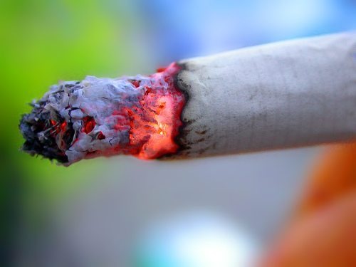 [no smoking[3].jpg]