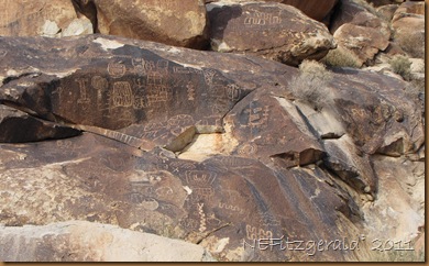 IMG_5406 IMG_5406