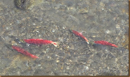 IMG_3366 IMG_3366