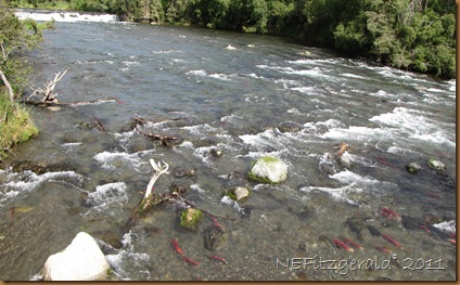 IMG_3374 IMG_3374