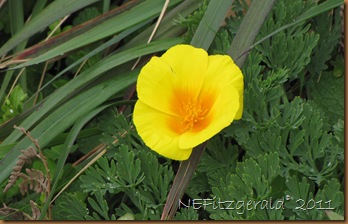 IMG_5876 IMG_5876