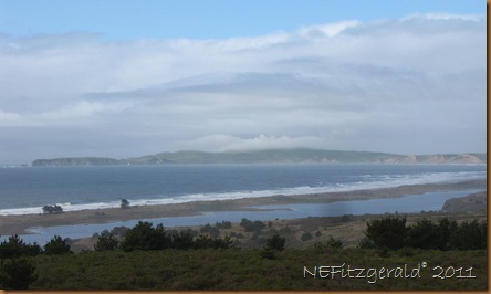 IMG_5655 IMG_5655