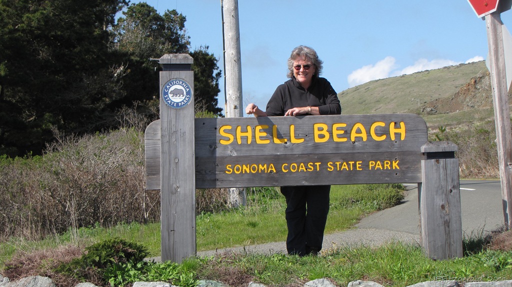 [IMG_5761 Shell_Beach[2].jpg]