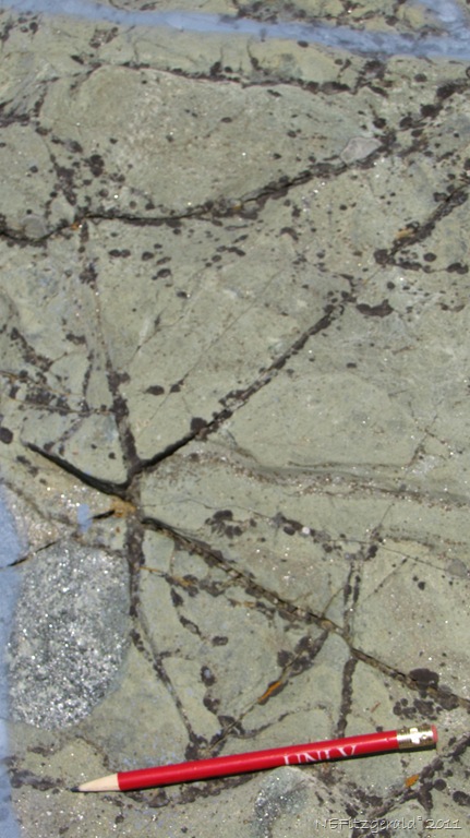 [IMG_5767Eclogite.jpg]