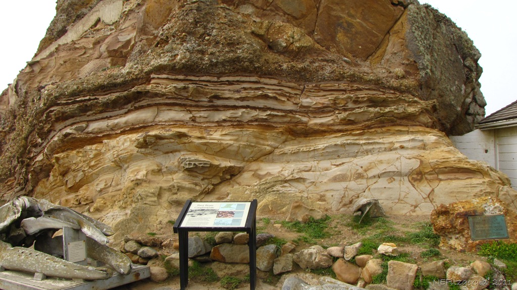 [IMG_5855Point Reyes Conglomerate[11].jpg]