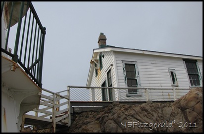 IMG_5899Point ReyesLighthouse OnConglomerate