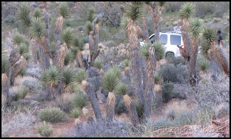 IMG_6186 IMG_6186