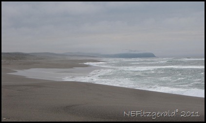 IMG_6005 PointReyes NationalSeashore IMG_6005 PointReyes NationalSeashore