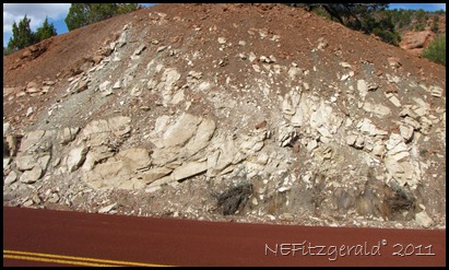 019DragFold_ AlbinoDino_ KolobCanyons 019DragFold_ AlbinoDino_ KolobCanyons