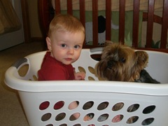 Parker and Maya in the laundry basket 2009-06-11 010