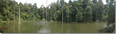 PC010256