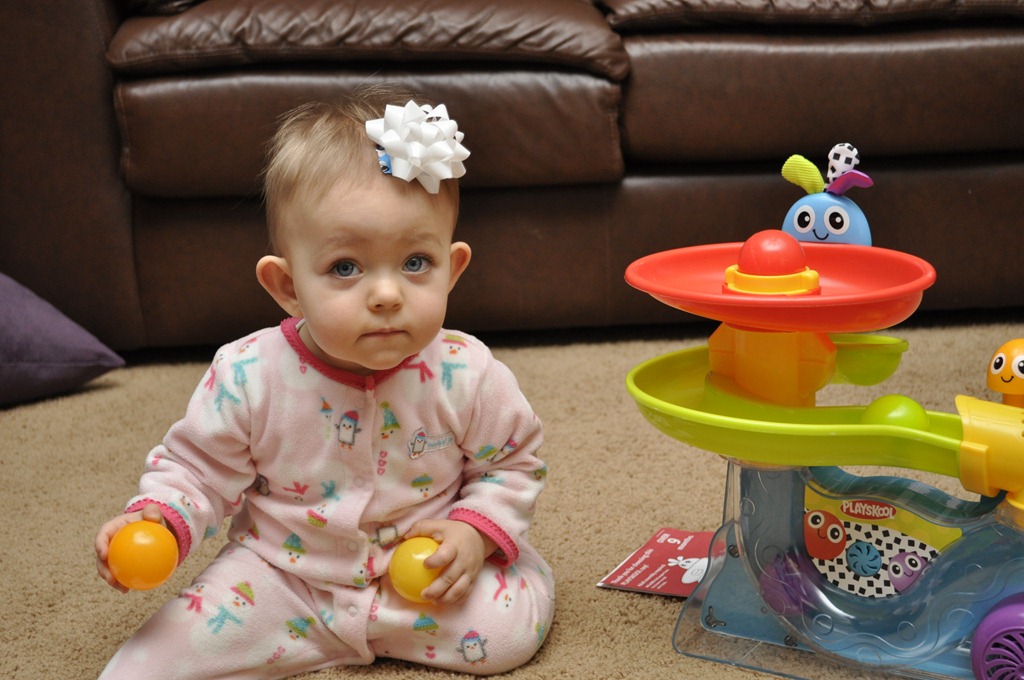 [_DSC0088[3].jpg]