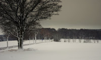 Die verschneite Straße von Eudenbach Richtung Asbach. Der Unfall Beorns ereignet sich etwa einen Kilometer weiter in diesem Wald. Foto: Norman Liebold 2010.