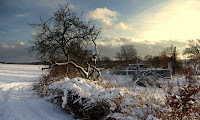 Beorns Obstgarten im Winter. Dort, wo die Ruine steht, stelle ich mir seine Hütte vor. Hier vorn an der Kehre stände sein Kombi. Foto: Norman Liebold 2010.
