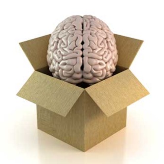 Brain-in-Box