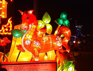 DSC00230