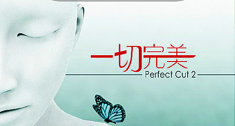 [Perfect Cut 2.1[4].png]