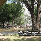 molo_plaza7.jpg