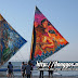 paraw_regatta_main_event23.jpg
