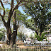 plaza_libertad06.jpg