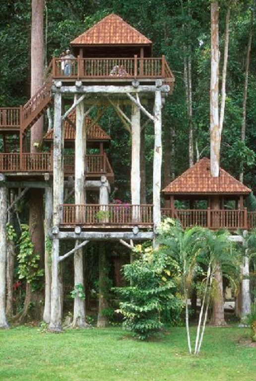 [SHR_200304_08_13_001[4].jpg]