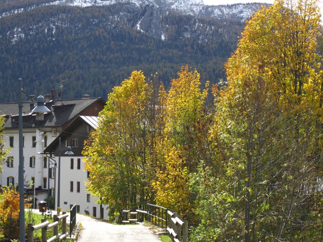 [IMG_17482.jpg]