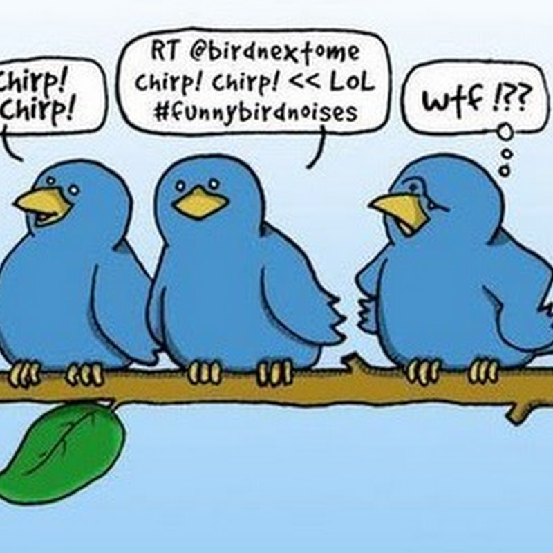 Yo uso Twitter… mis amigos no