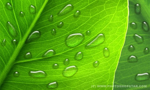 realistic_dew_17full