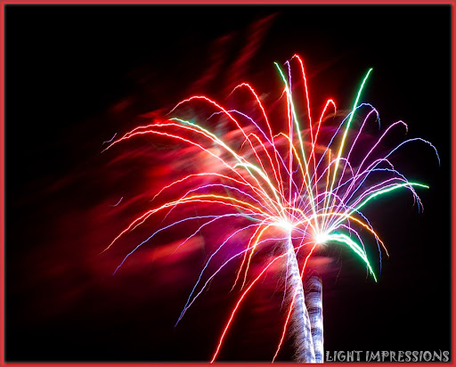 Palm Trees of Fire