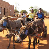 Kgobagodimo