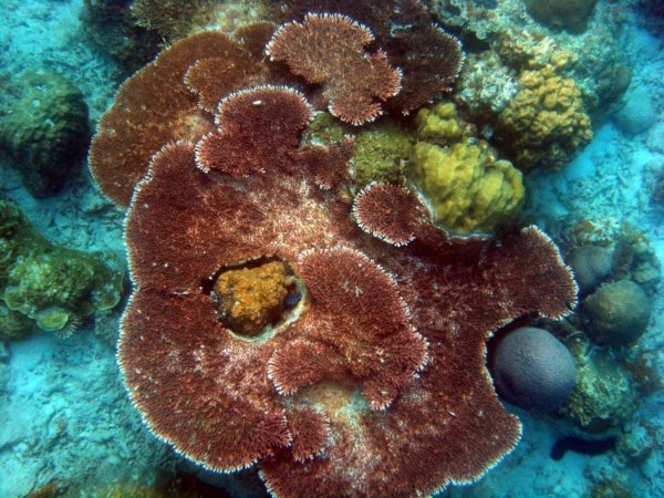 [DSC04587[3].jpg]