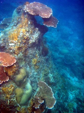 [DSC04589[3].jpg]