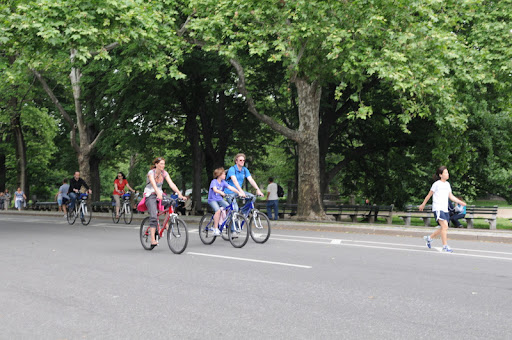 Америка 2010. Часть 4. Парки